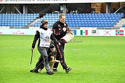 Jordan vom Kämpferherz