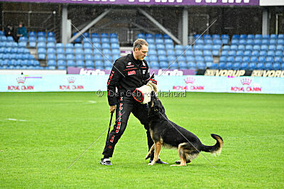 Jordan vom Kämpferherz