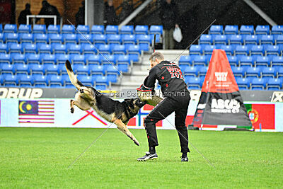 Jordan vom Kämpferherz