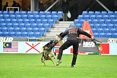 Jordan vom Kämpferherz