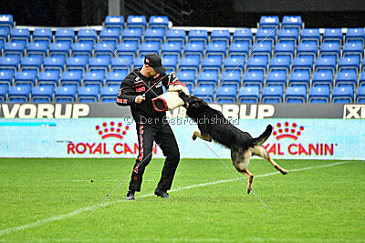 Jordan vom Kämpferherz