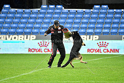 Jordan vom Kämpferherz