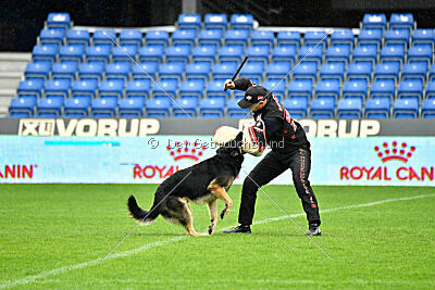 Jordan vom Kämpferherz