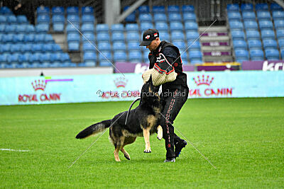 Jordan vom Kämpferherz