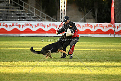 Jordan vom Kämpferherz