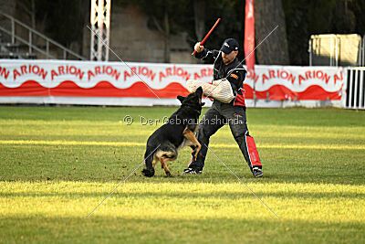 Jordan vom Kämpferherz