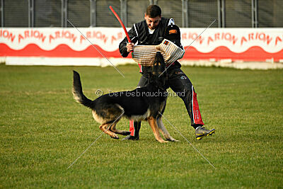 Jordan vom Kämpferherz