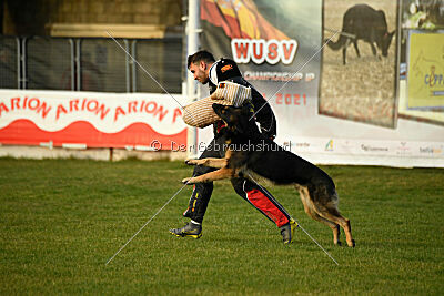 Jordan vom Kämpferherz