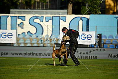 Jorek vom Haus Mecki