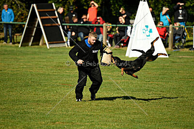 Joyce aus der Bohmter Heide