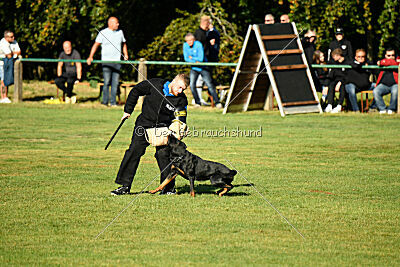 Joyce aus der Bohmter Heide