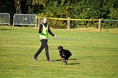 Joyce aus der Bohmter Heide