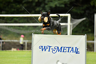 Joyce aus der Bohmter Heide