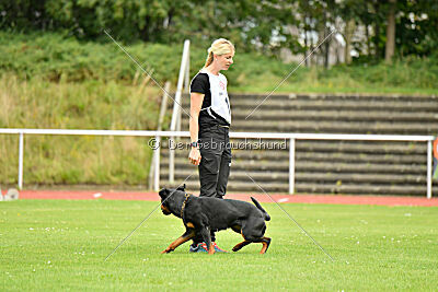 Joyce aus der Bohmter Heide
