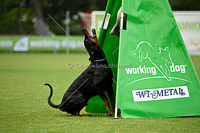 Jürgen von Markischen Leo