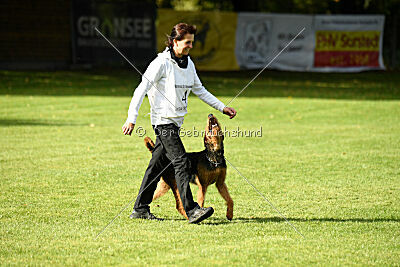 Juma vom Tringensteiner Schelderwald