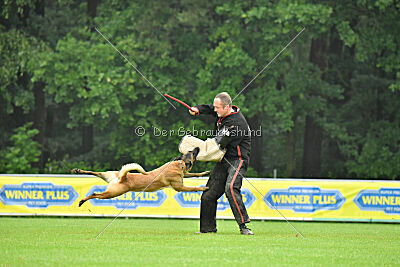 Jumanji Gin von Malihattan