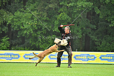 Jumanji Gin von Malihattan