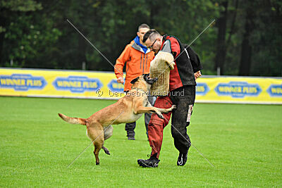 Jumanji Gin von Malihattan