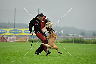 Jumanji Gin von Malihattan