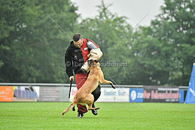 Jumanji Gin von Malihattan