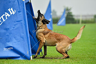 Jumanji Gin von Malihattan