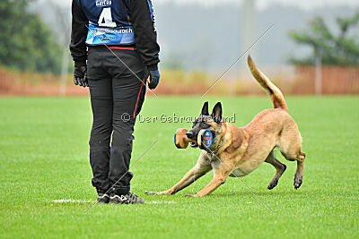 Jumanji Gin von Malihattan