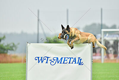 Jumanji Gin von Malihattan