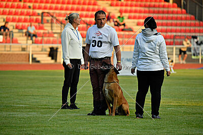 Jussuf vom Haus Mecki