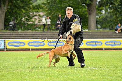 Jussuf vom Haus Mecki