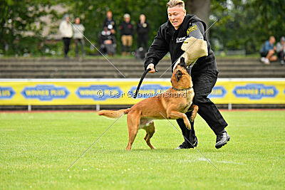 Jussuf vom Haus Mecki