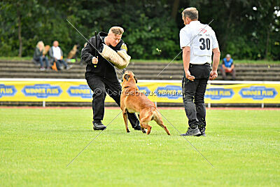 Jussuf vom Haus Mecki