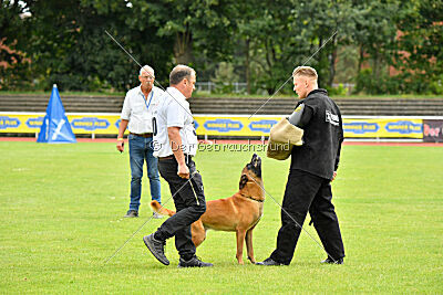 Jussuf vom Haus Mecki