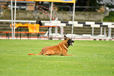 Jussuf vom Haus Mecki