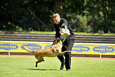 Just Smile vom Streitwald