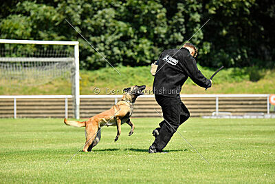 Just Smile vom Streitwald