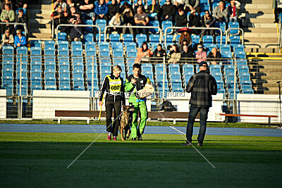 Jutta-Hermine vom Irrbühl