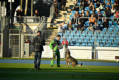 Jutta-Hermine vom Irrbühl