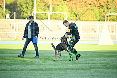 Jutta-Hermine vom Irrbühl