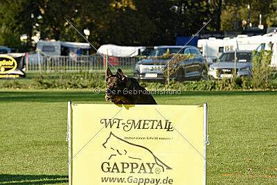 Jutta-Hermine vom Irrbühl