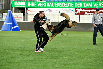 Kalea vom Rabenfelsen