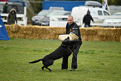 Kamaro of Flying Attacks