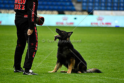 Kamikaze of Fond Verite