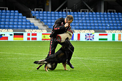 Kamikaze of Fond Verite