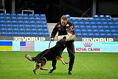 Kamikaze of Fond Verite