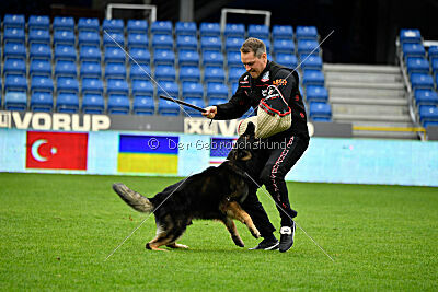 Kamikaze of Fond Verite