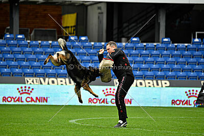 Kamikaze of Fond Verite