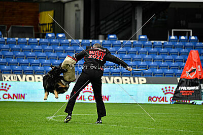 Kamikaze of Fond Verite