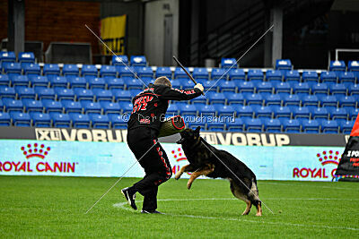 Kamikaze of Fond Verite