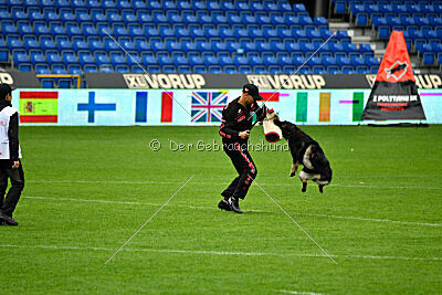 Kamikaze of Fond Verite